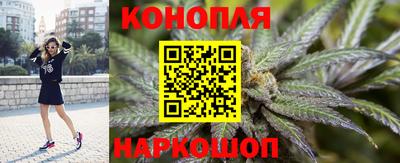 PSILOCYBIN Ярославль