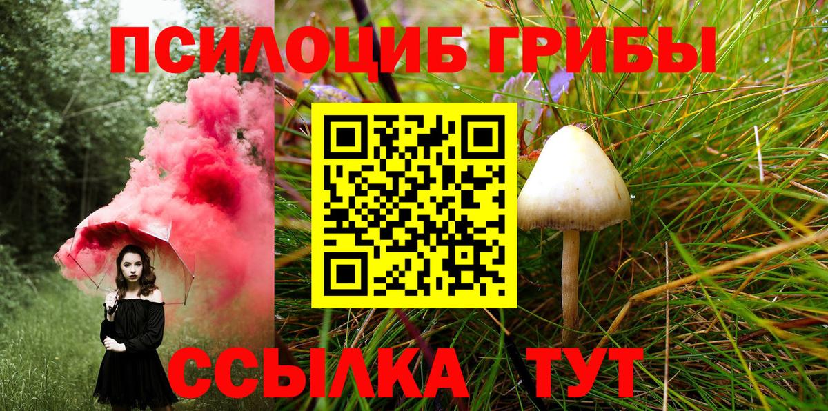 Белово  Псилоцибиновые грибы Cubensis  Вход с VPN 
