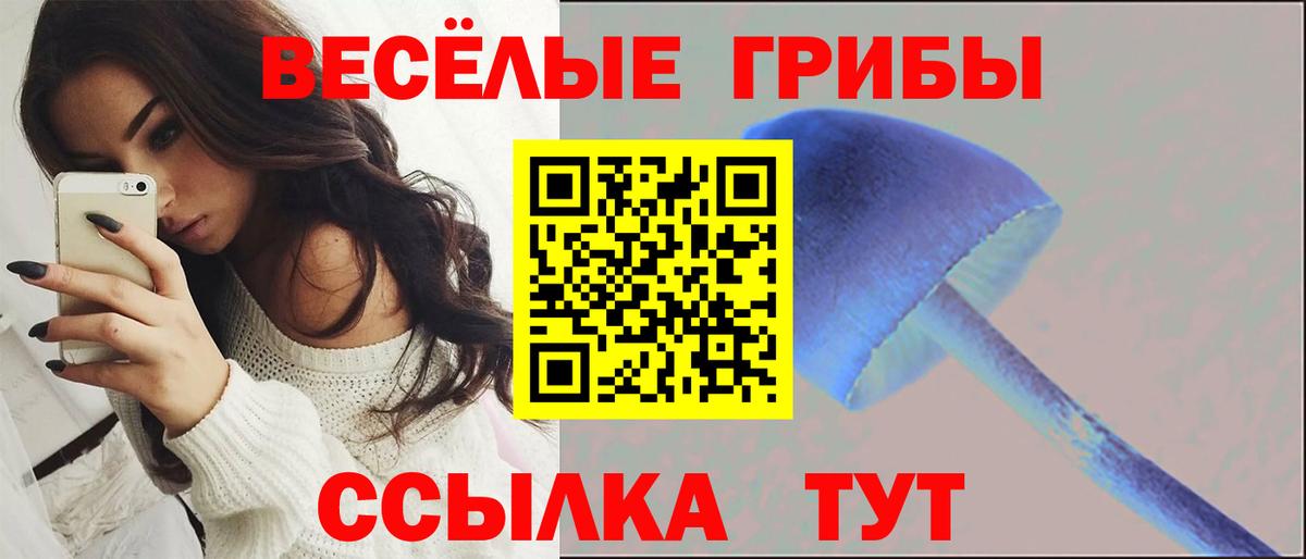 Галлюциногенные грибы Psilocybine cubensis Белово